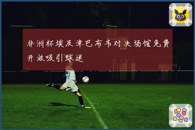 非洲杯埃及津巴布韦对决场馆免费开放吸引球迷
